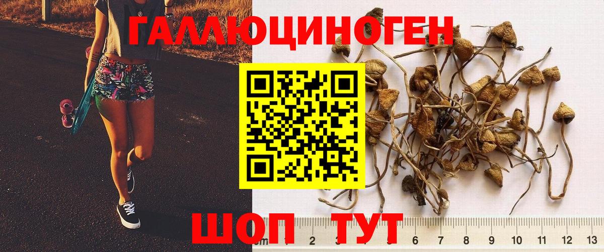 Псилоцибиновые грибы MAGIC MUSHROOMS  Вход с VPN  Сокол 