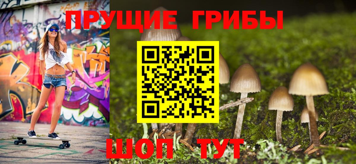 Галлюциногенные грибы Psilocybine cubensis Сокол